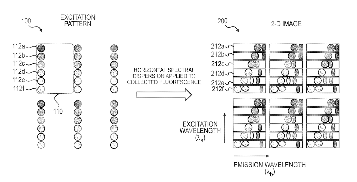 Systems and Methods for 4-D Hyperspectral Imaging