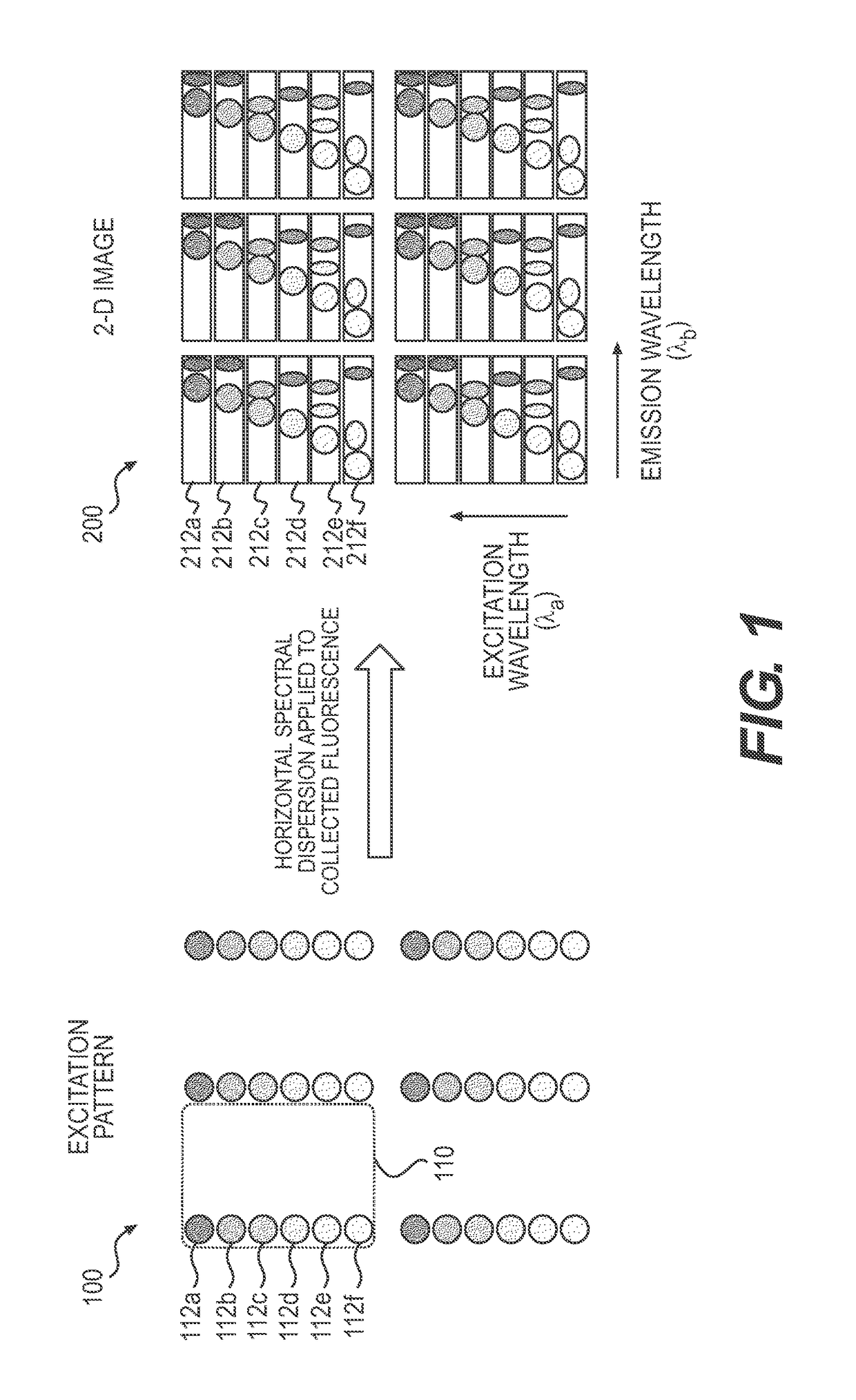 Systems and Methods for 4-D Hyperspectral Imaging