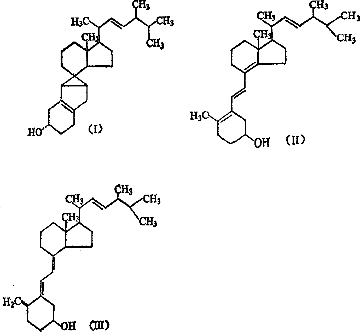 Vitamin D* solid dispersion peridium patch and method for preparing the same