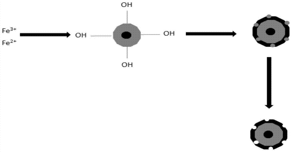 Molecularly imprinted porous magnetic cellulose microspheres on the surface of artesunate and its preparation method and application