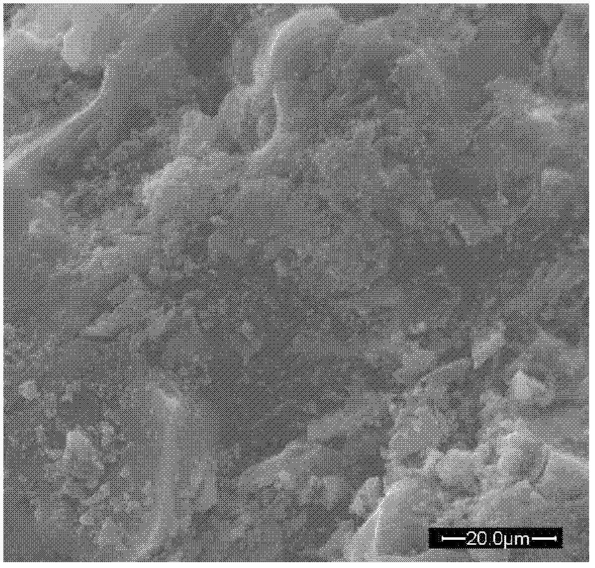 Electroconductive woodceramic powder and its manufacturing method