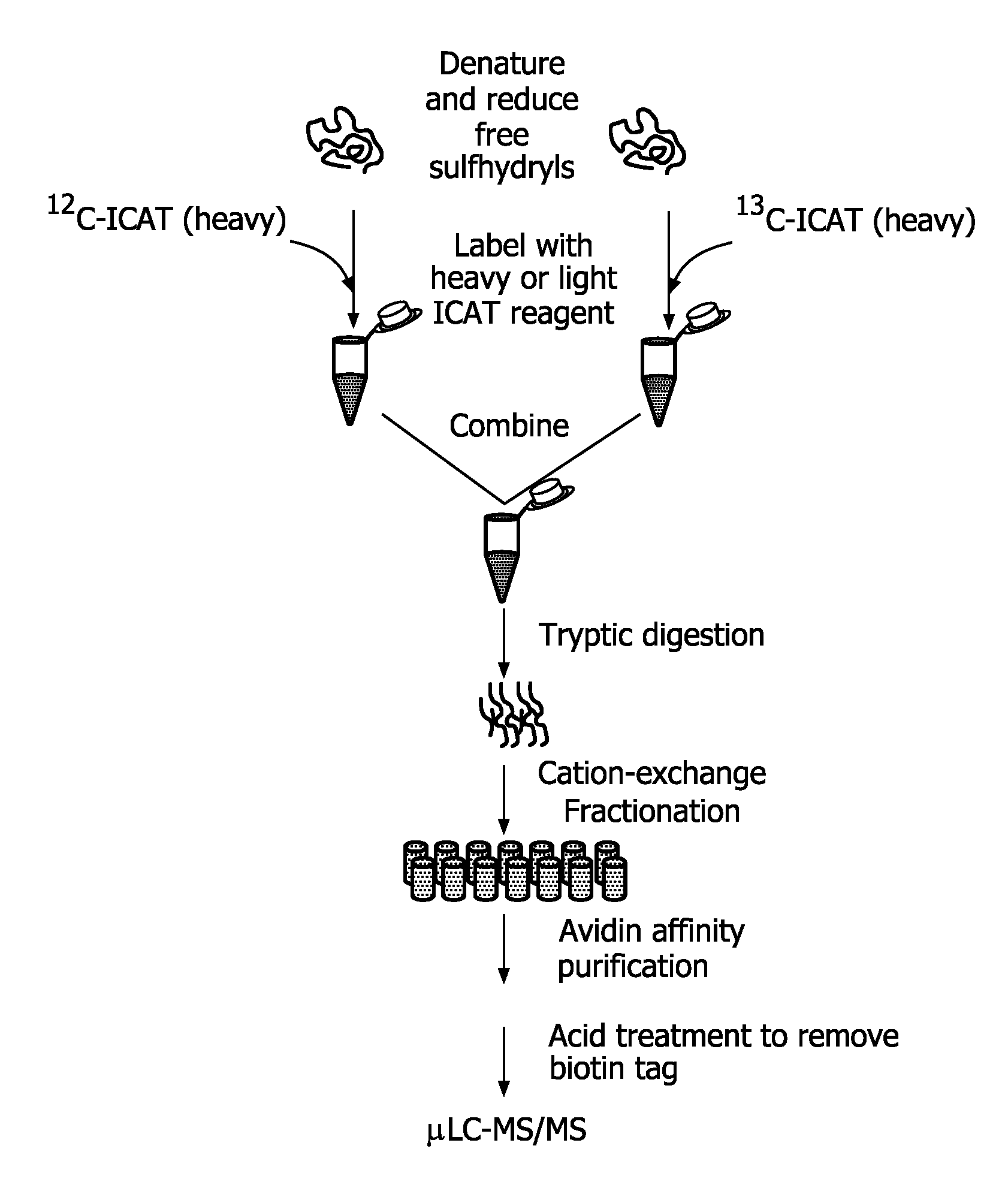 Compounds and methods for double labelling of polypeptides to allow multiplexing in mass spectrometric analysis
