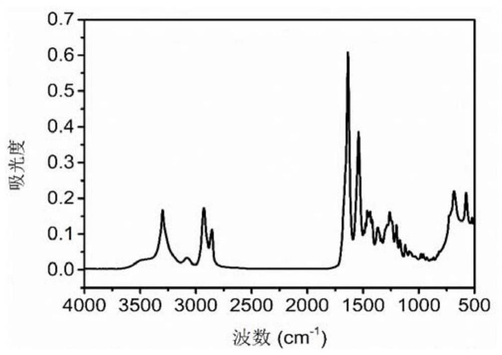 Thermoplastic nylon elastomer containing pyrrolidone structure amorphous nylon segment and its preparation method and application