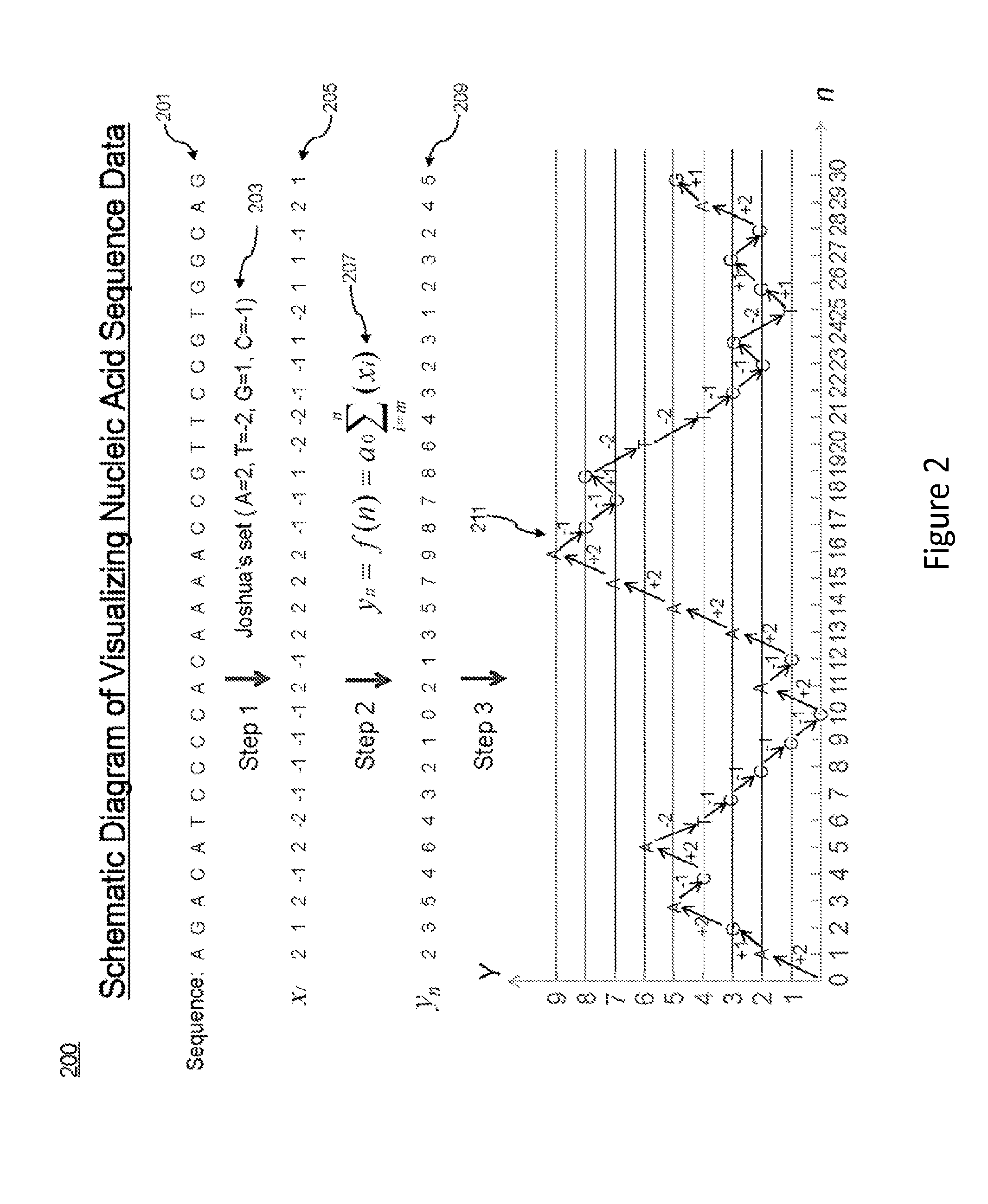 Visualization of nucleic acid sequences