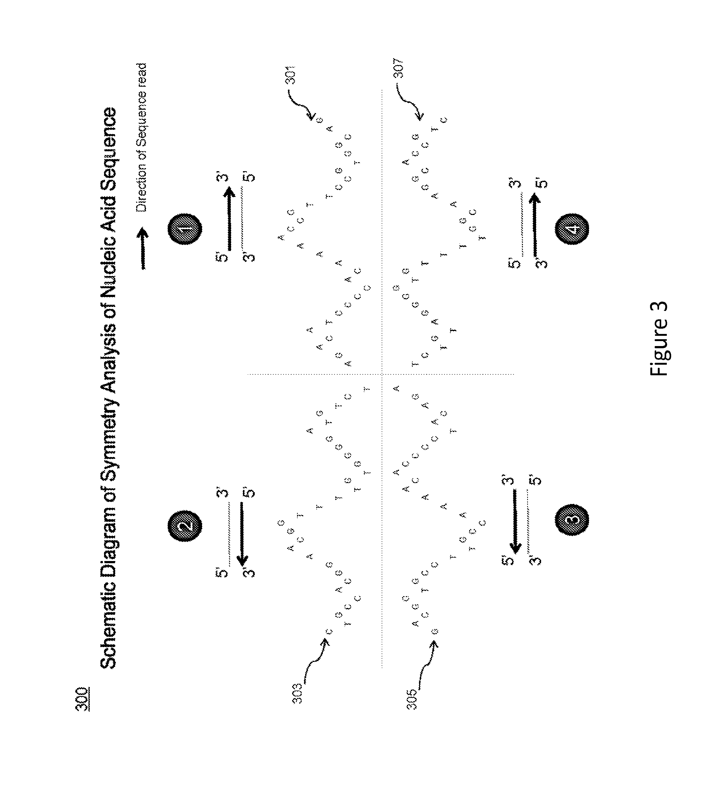 Visualization of nucleic acid sequences