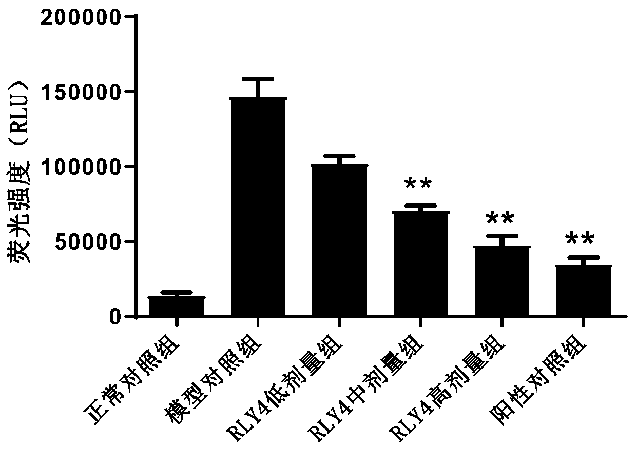 Polypeptide RLY4 and uses thereof for promoting liver regeneration and inhibiting hepatocyte apoptosis