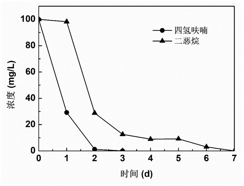 A strain of Arthrobacter wn18 and its application