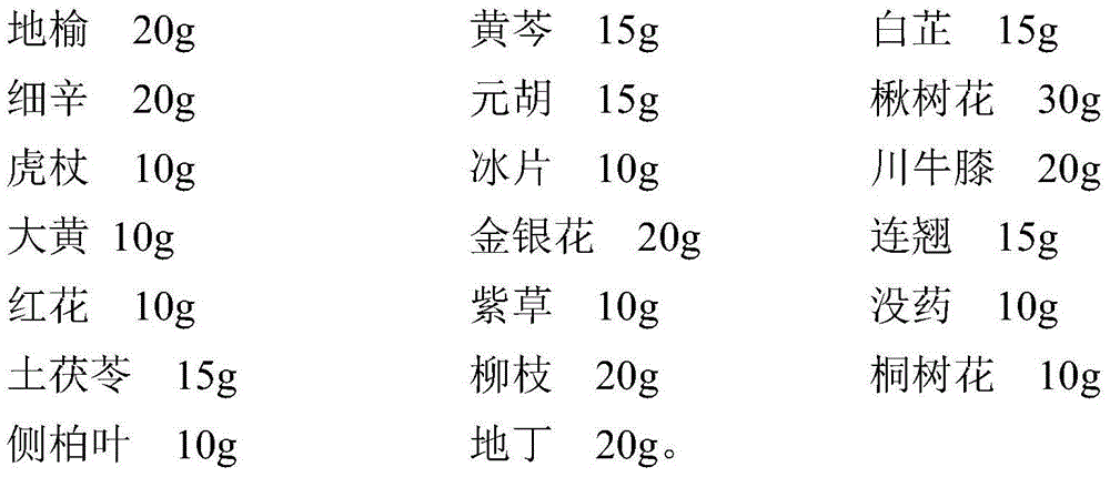 External traditional Chinese medicine for burns and scalds as well as preparation method thereof