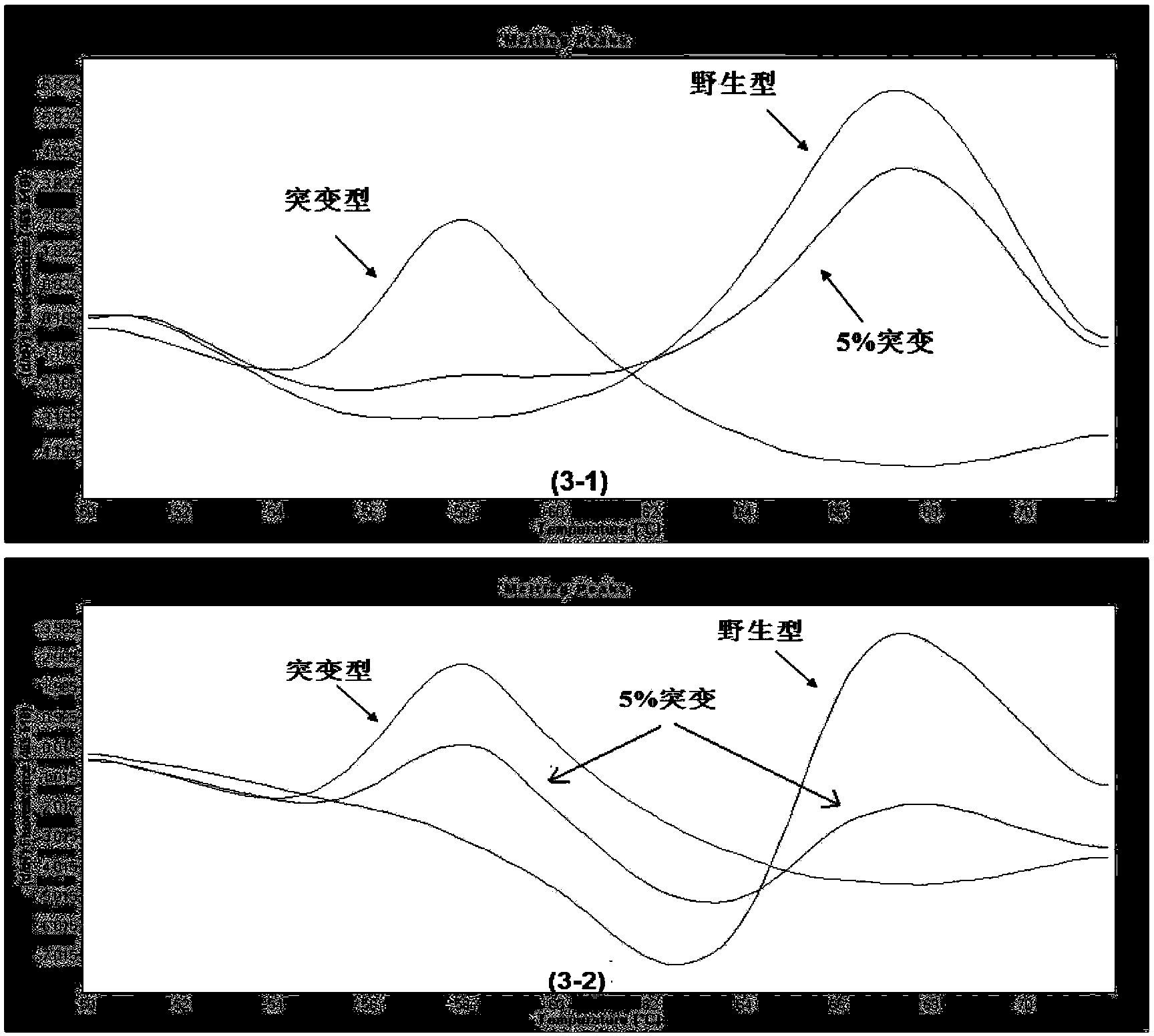 Method for rapidly detecting mutation of KRAS gene