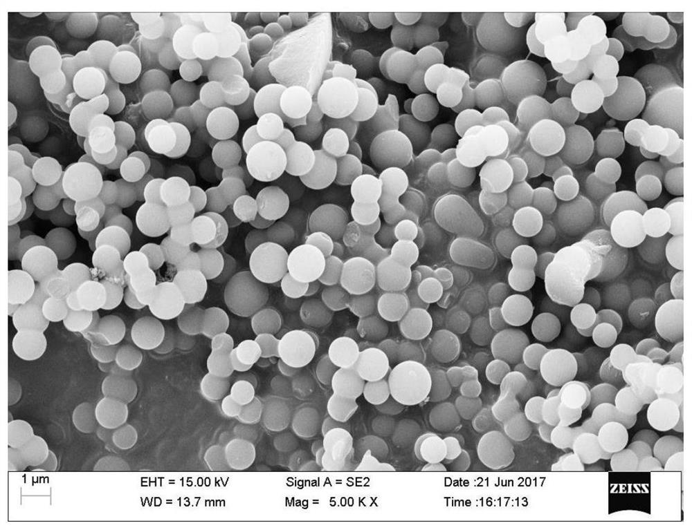 A preparation method of collagen peptide grafted hydrothermal carbon microsphere adsorbent