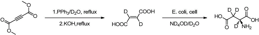 Preparation method of L-aspartic acid (2, 3, 3-D3) by enzymatic catalyst