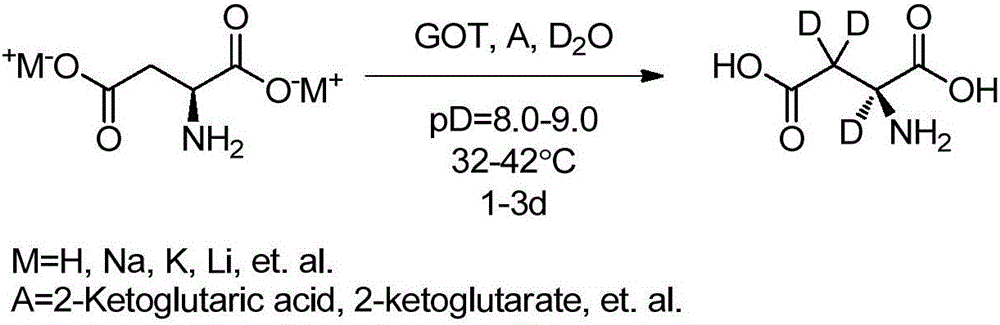 Preparation method of L-aspartic acid (2, 3, 3-D3) by enzymatic catalyst