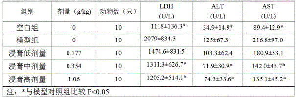 Health-protective coffee containing antrodia camphorate for protecting liver and preparation method thereof