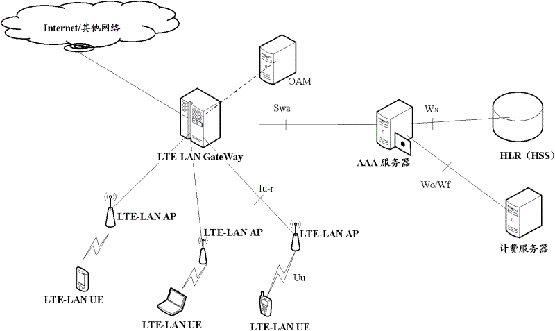 Wireless network access system