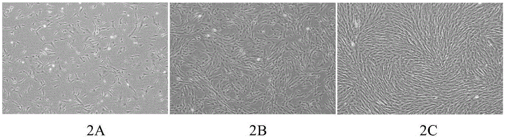 Kit for cell culture