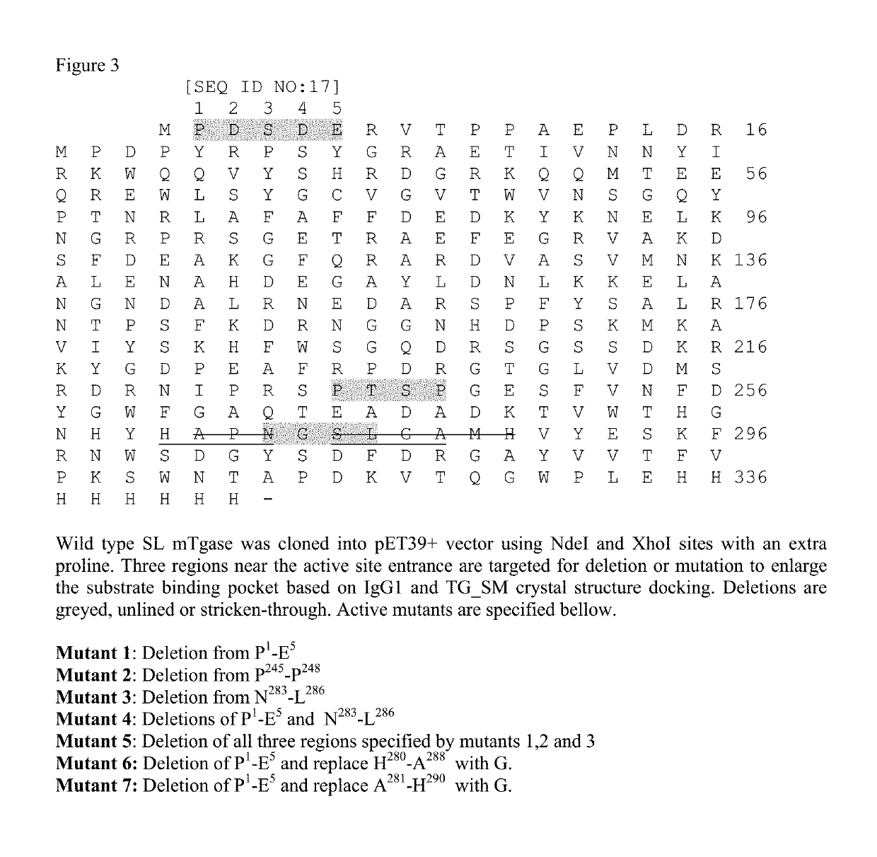 Homogenous antibody drug conjugates via enzymatic methods