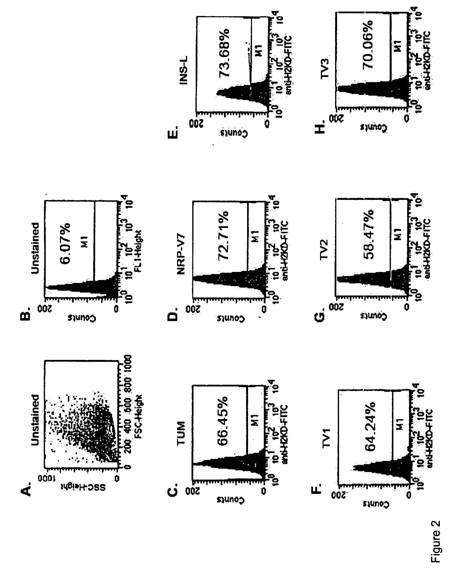 Insulin epitopes for the treatment of type 1 diabetes