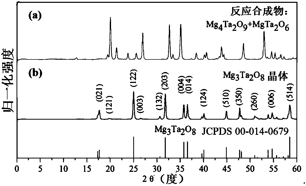 Magnesium niobate series crystals and preparation method thereof