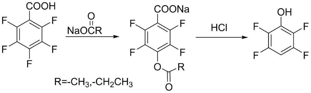 A kind of method of synthesizing 2,3,5,6-tetrafluorophenol