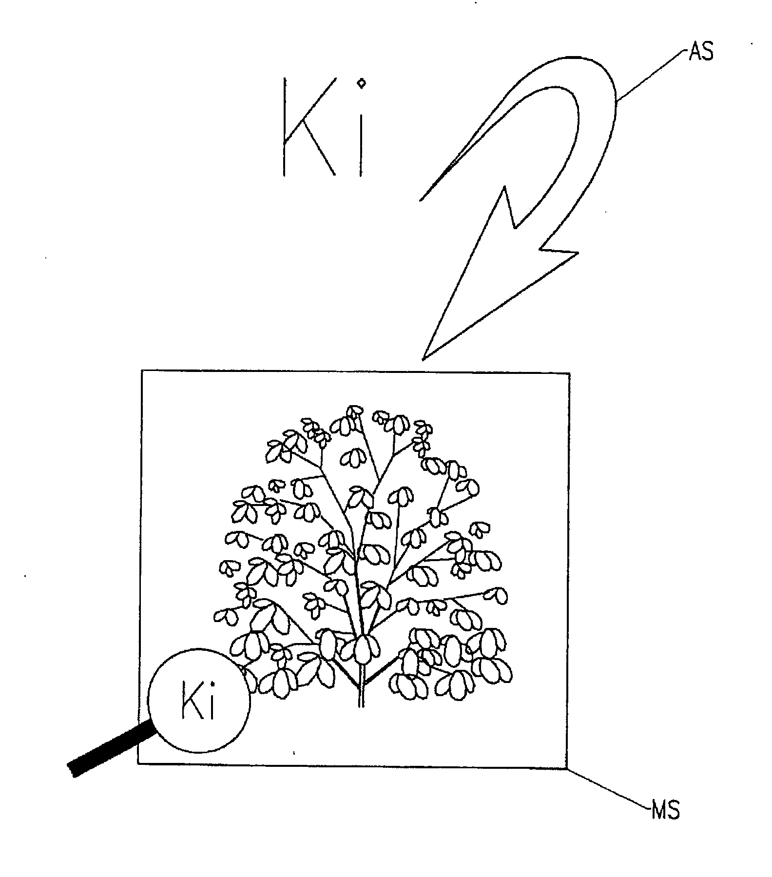 Method for authenticating a clent mobile terminal with a remote server