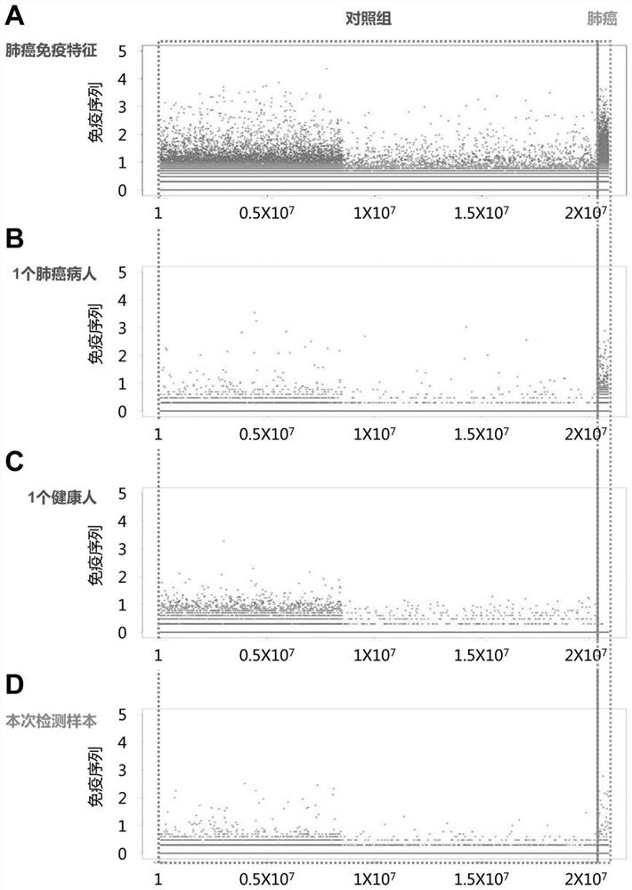 Peripheral blood TCR marker of lung cancer, and detection kit and application thereof