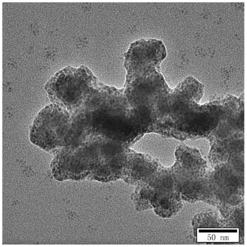 Preparation method and application of BiVO4@carbon nanodot composite photocatalytic material