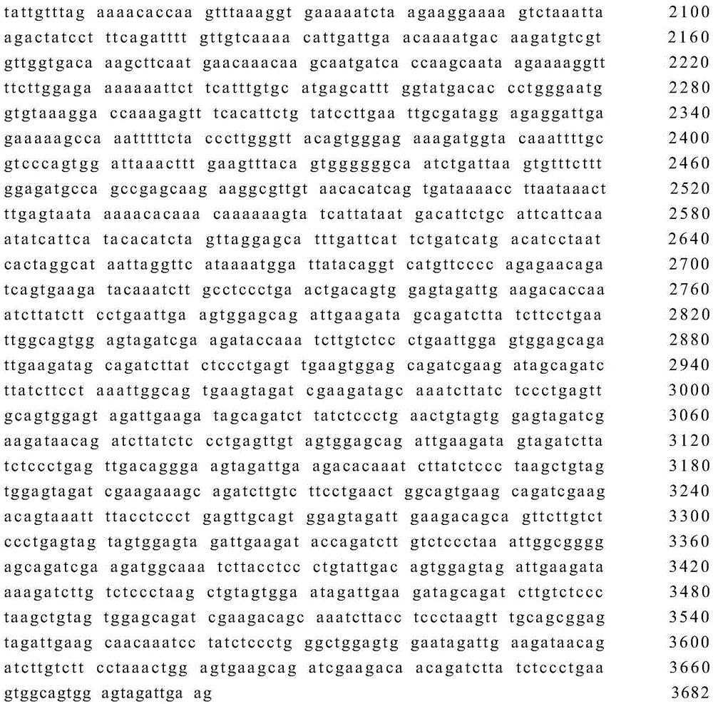 A method for identifying the complete set of chromosomes of cotton d genome and D sub-genome