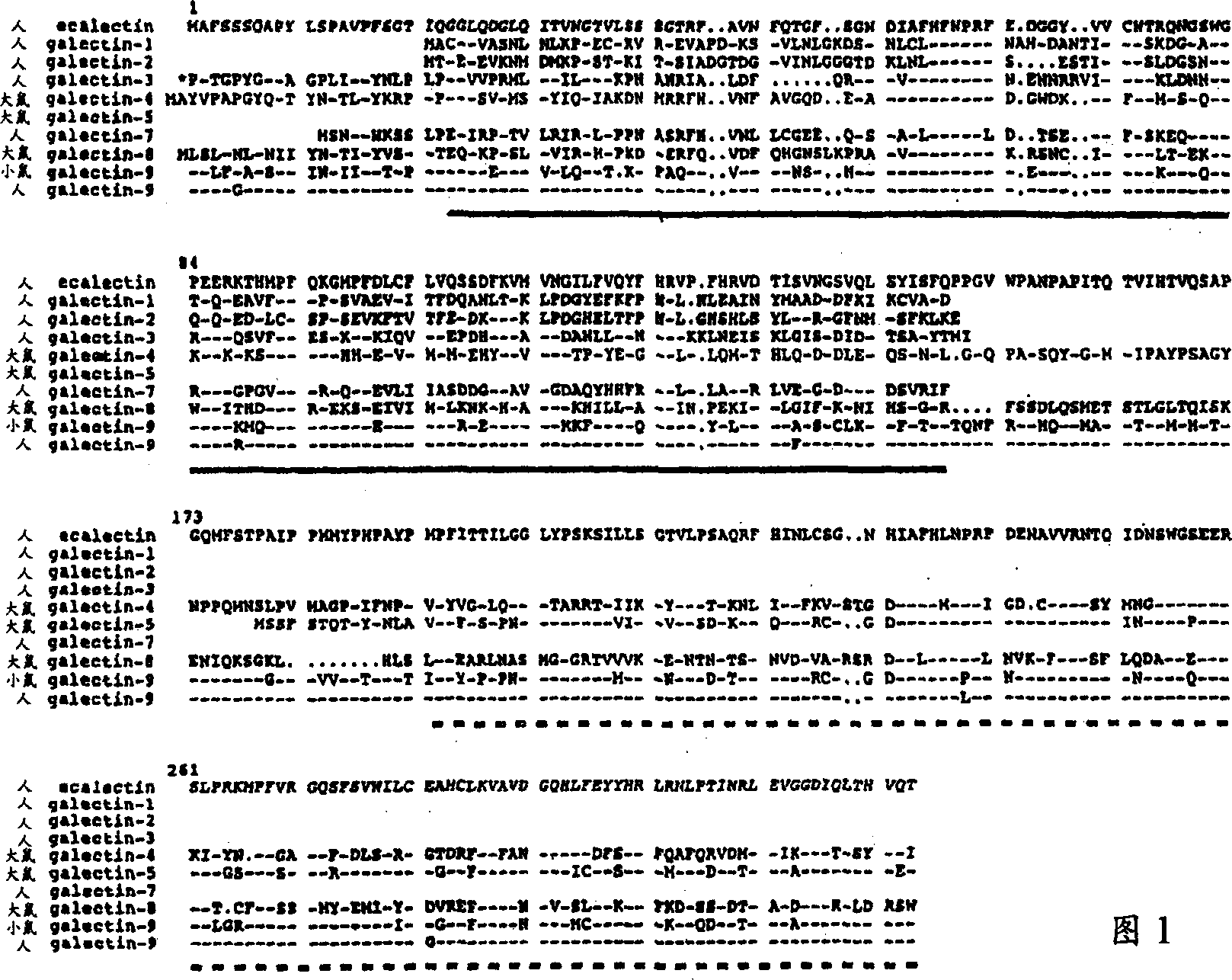 Eosinophil chemotactic factor