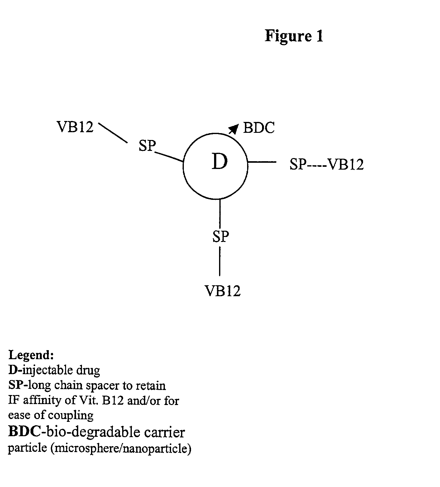 Novel vitamin b12 - biodegradable micro particulate conjugate carrier systems for peroral delivery of drugs, therapeutic peptides/proteins and vaccines