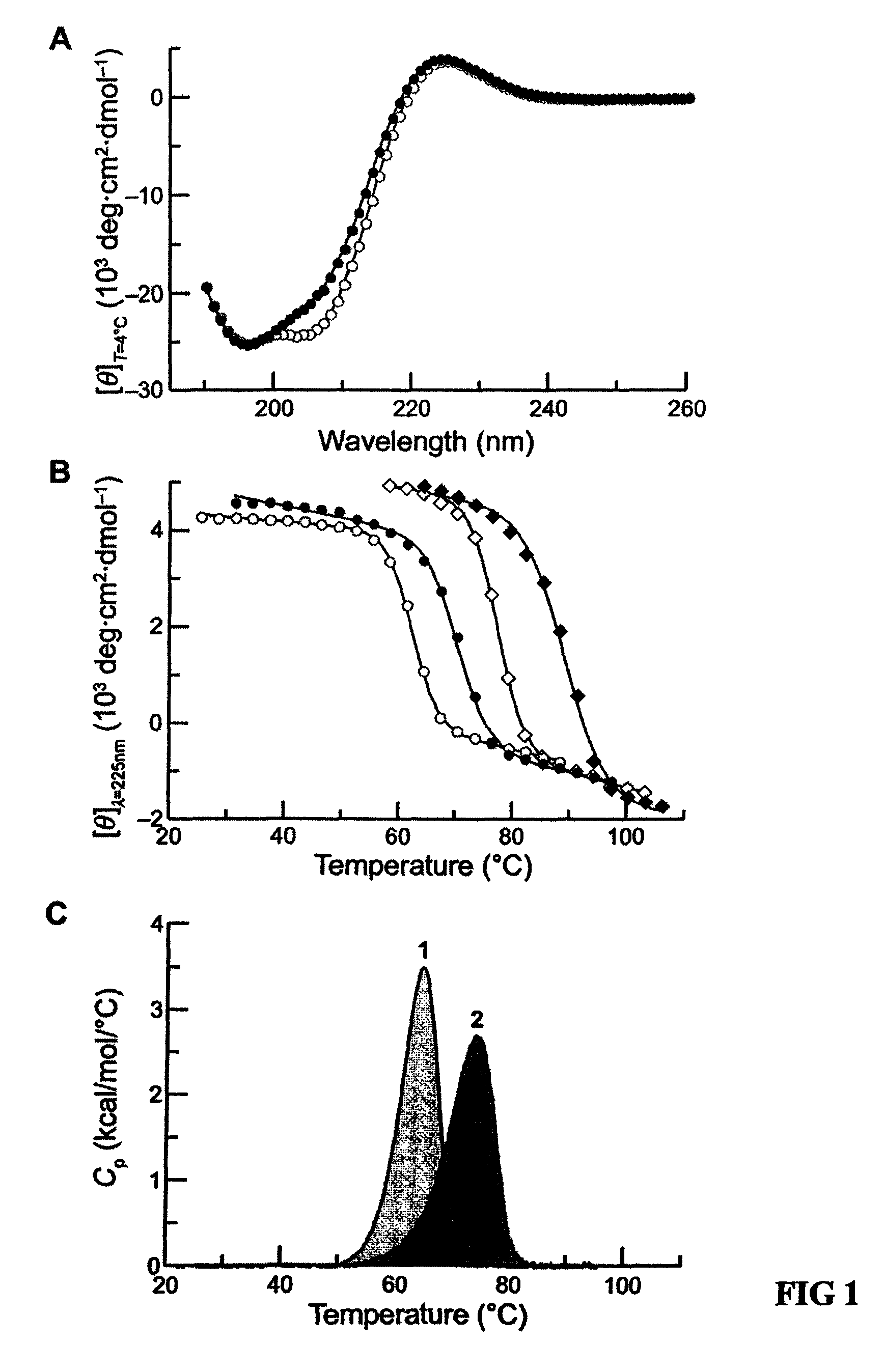 Stabilization of the collagen triple helix by O-methylation of hydroxyproline residues
