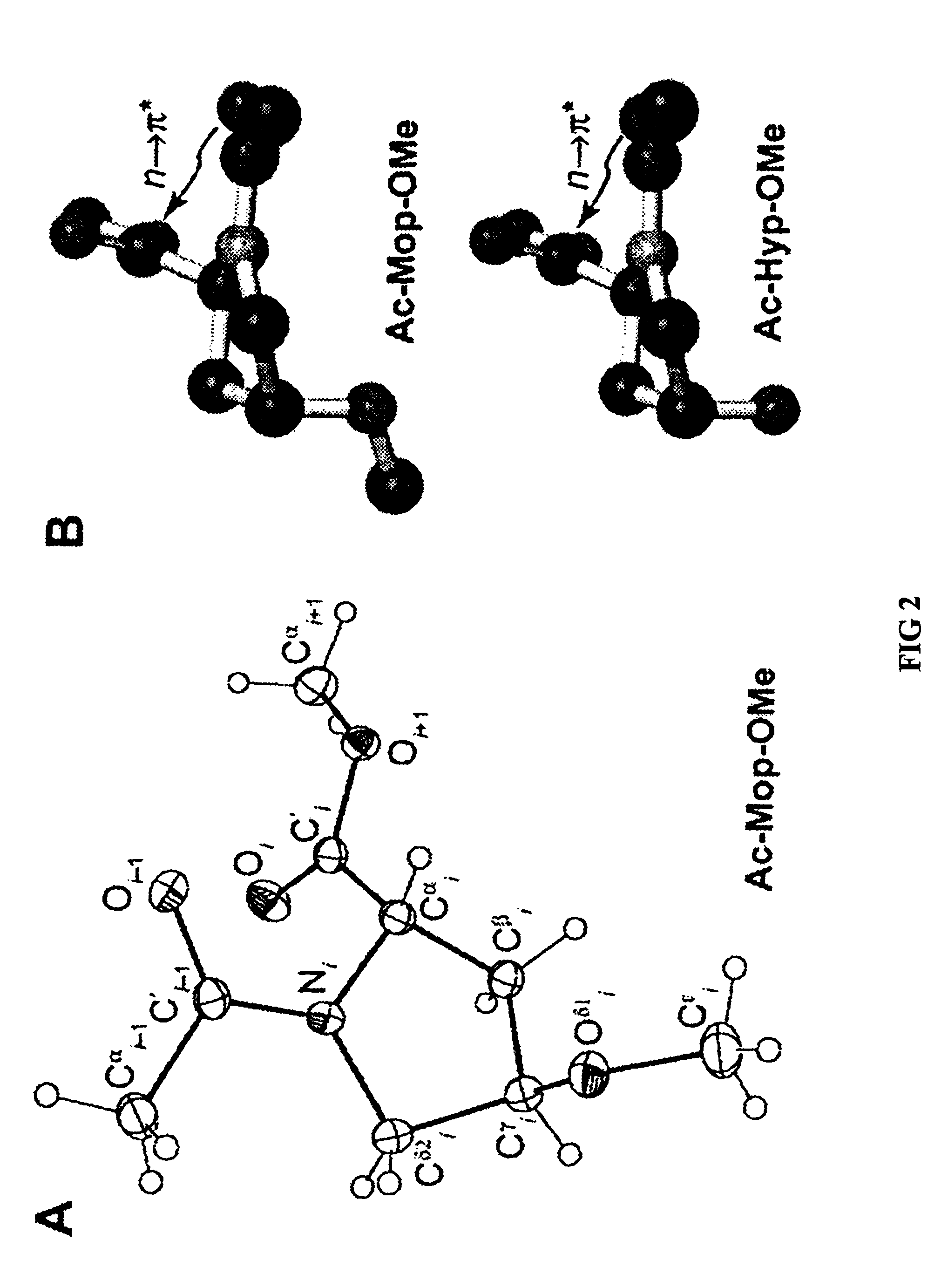 Stabilization of the collagen triple helix by O-methylation of hydroxyproline residues