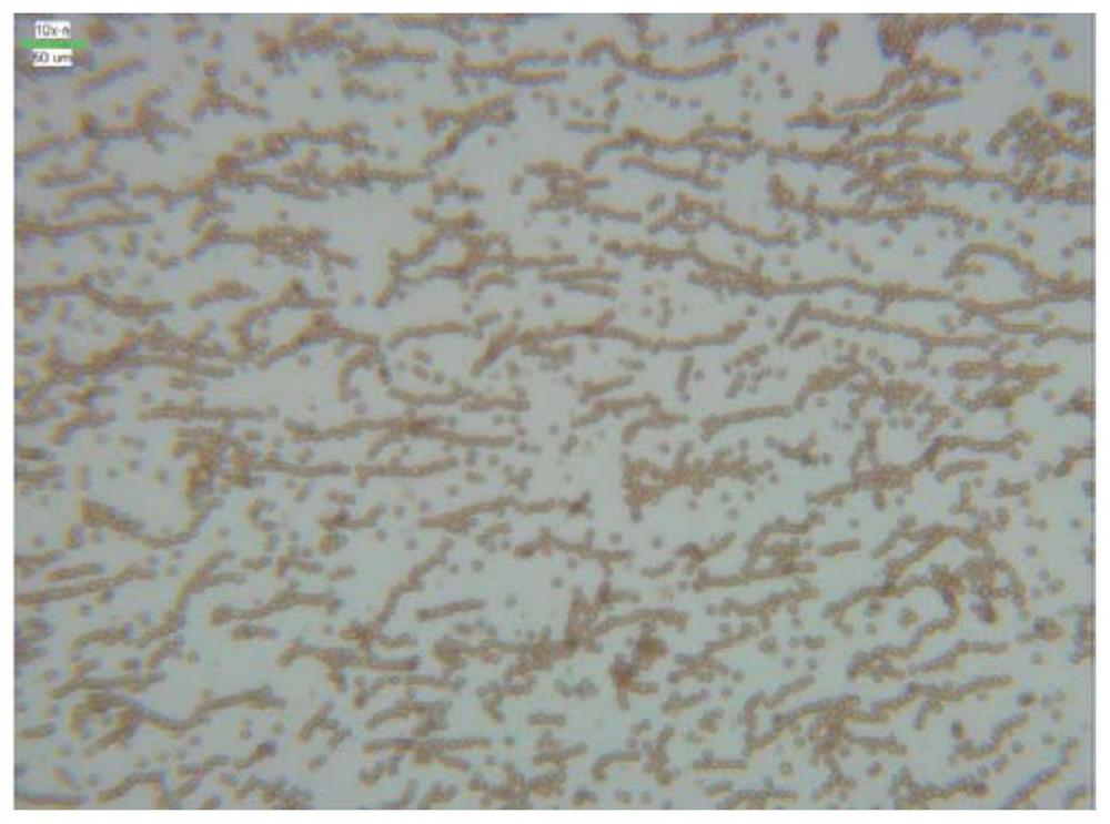 Preparation method for synthesizing magnetic polymer microspheres through chemical copolymerization