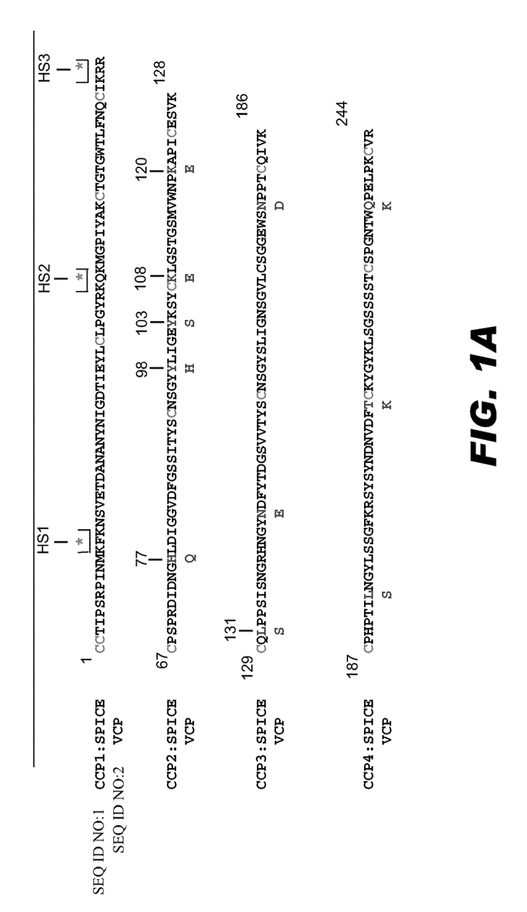 Compositions and methods for the detection and treatment of poxviral infections