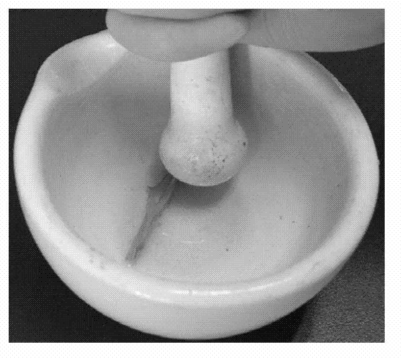 Dot-ELISA (dot Enzyme-Linked Immunosorbent Assay) method and tissue printing ELISA method for detecting presence of tomato yellow leaf curl virus in plant as well as reagent kit and application thereof