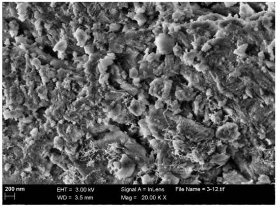 A kind of biporous nickel-based catalyst, its preparation method and its application in methane carbon dioxide reforming reaction