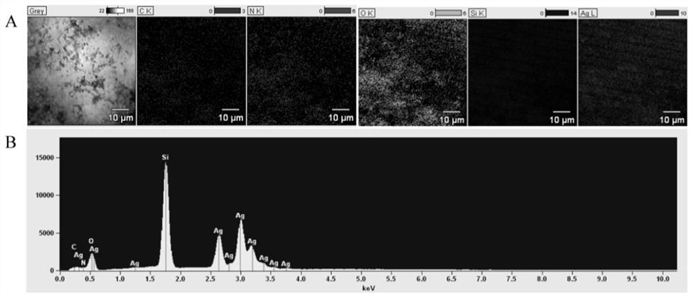 Broad-spectrum antimicrobial mesoporous silica Schiff base silver complex nanomaterial and preparation method thereof