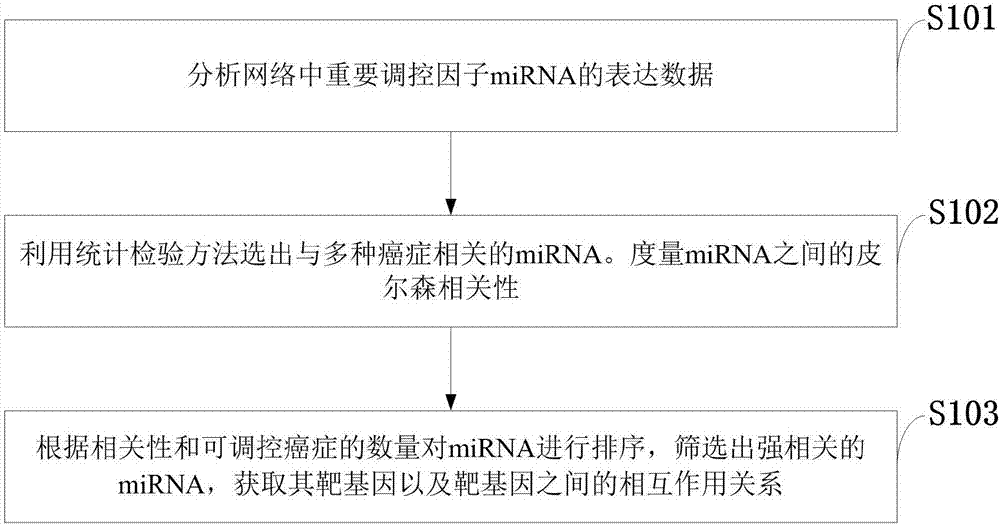 Method for constructing double-layer gene regulation and control network