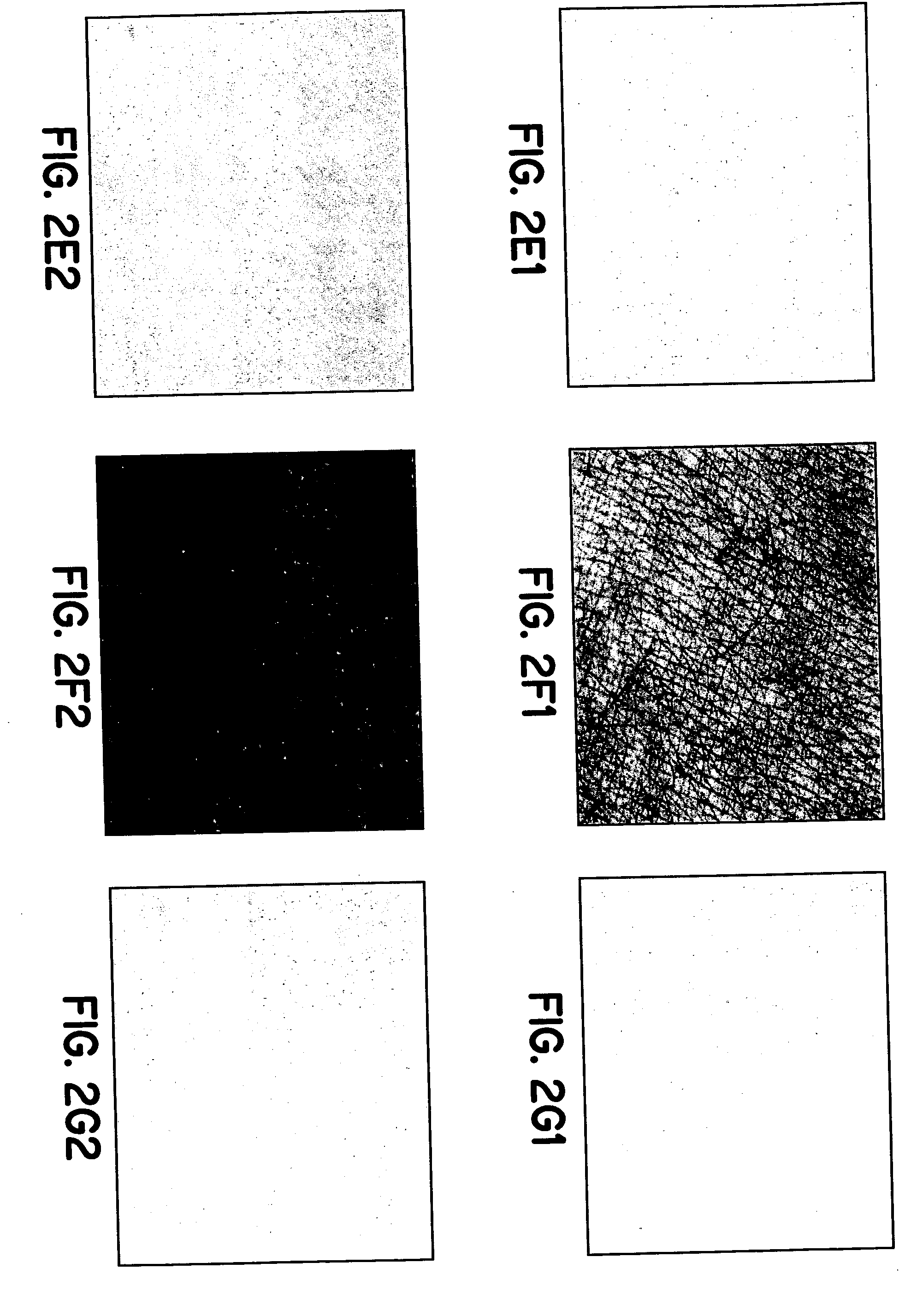 Simulated vernix compositions for skin cleansing and other applications