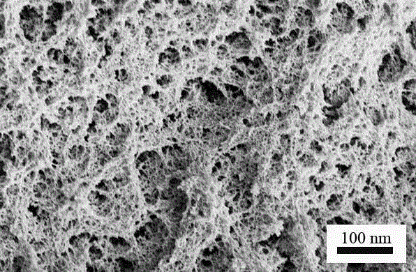 Preparation method of hydrophobic nano cellulose aerogel
