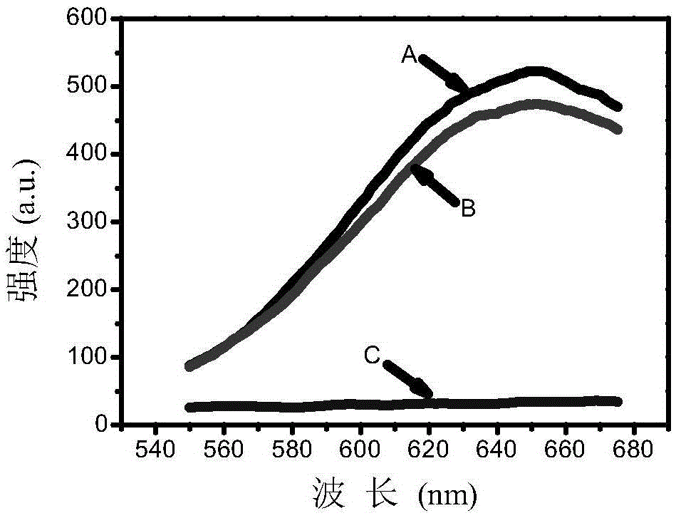 Urease Inhibitor Determination Method Based on Fluorescent Gold Nanoclusters