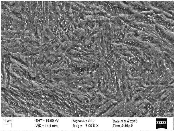 A 1000mpa grade high-strength and high-plasticity hot-rolled steel plate and its manufacturing method