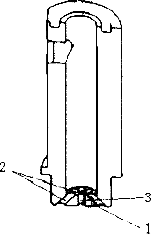 Gas injection apparatus