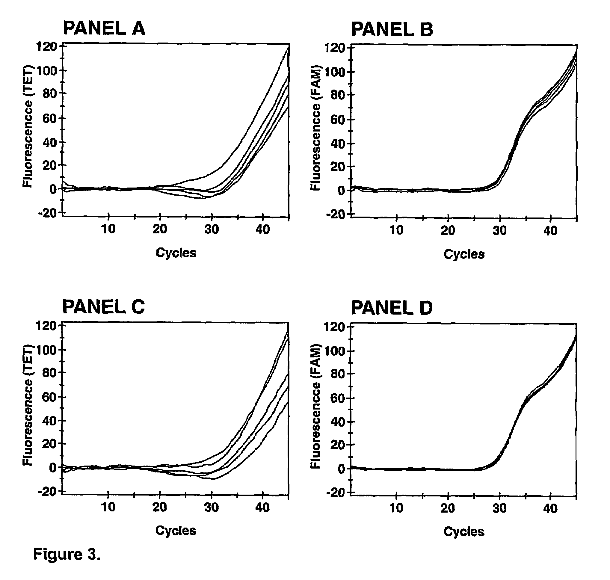 Biological reagents and methods to verify the efficiency of sample preparation and nucleic acid amplification and/or detection