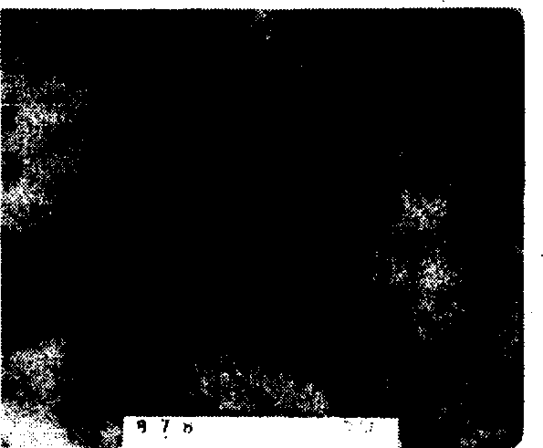 Method for superfine particle surface modification