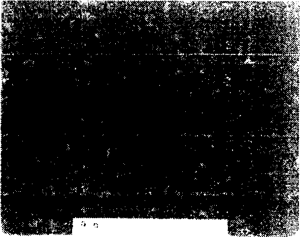 Method for superfine particle surface modification