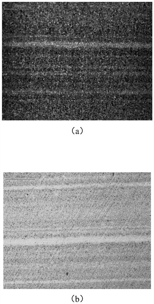 Metallographic corrosive agent and metallographic display method for primary banded structure of steel