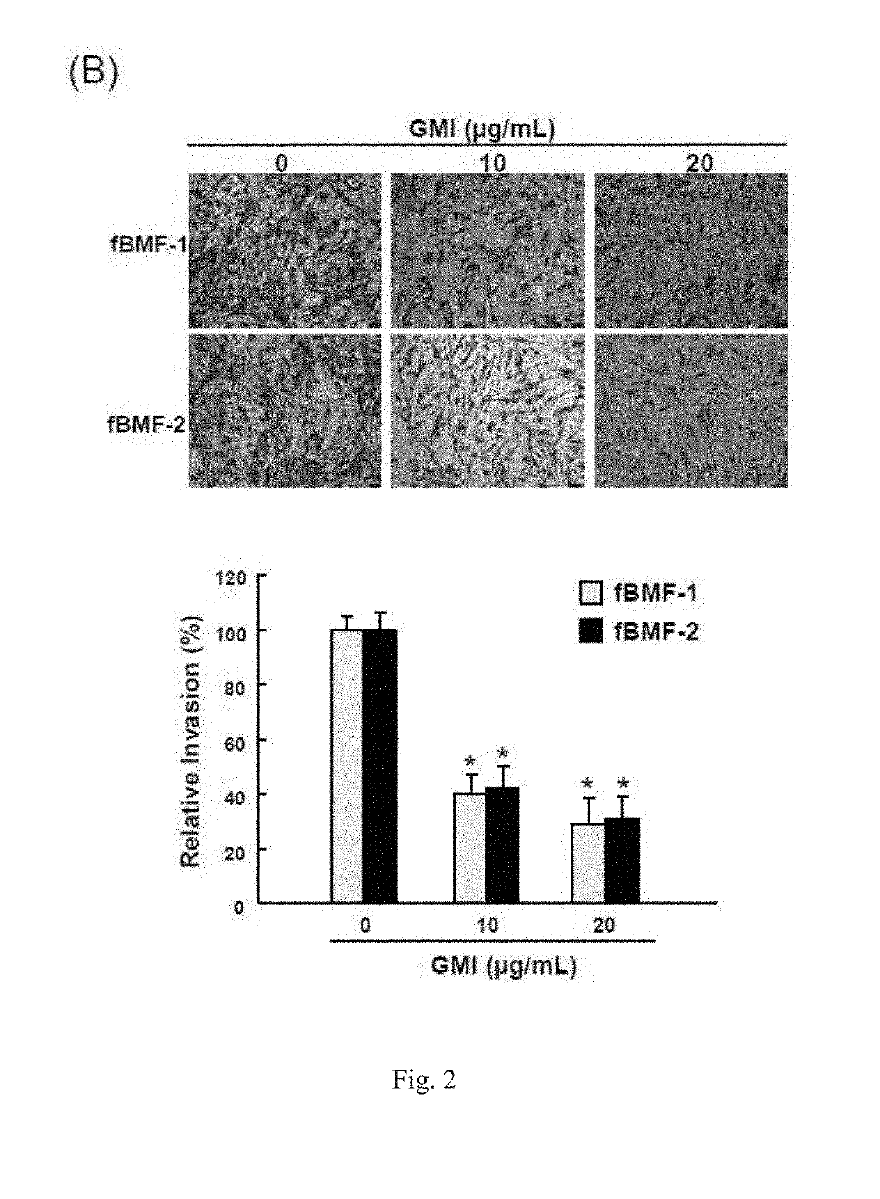 Use of immunomodulatory protein from ganoderma in inhibiting fibrosis