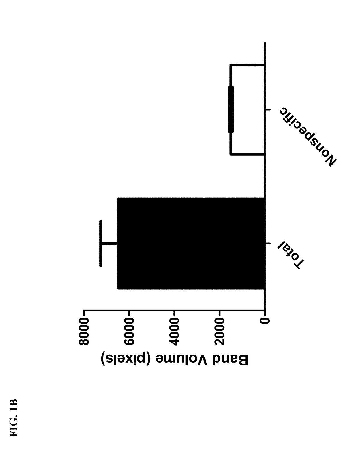 Novel bt toxin receptors and methods of use