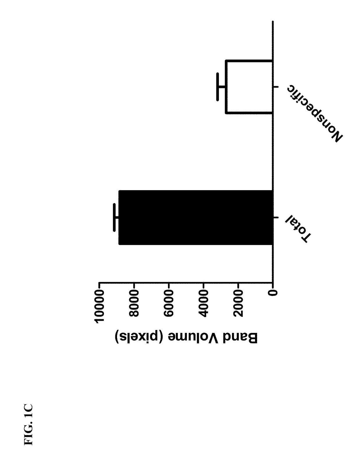 Novel bt toxin receptors and methods of use