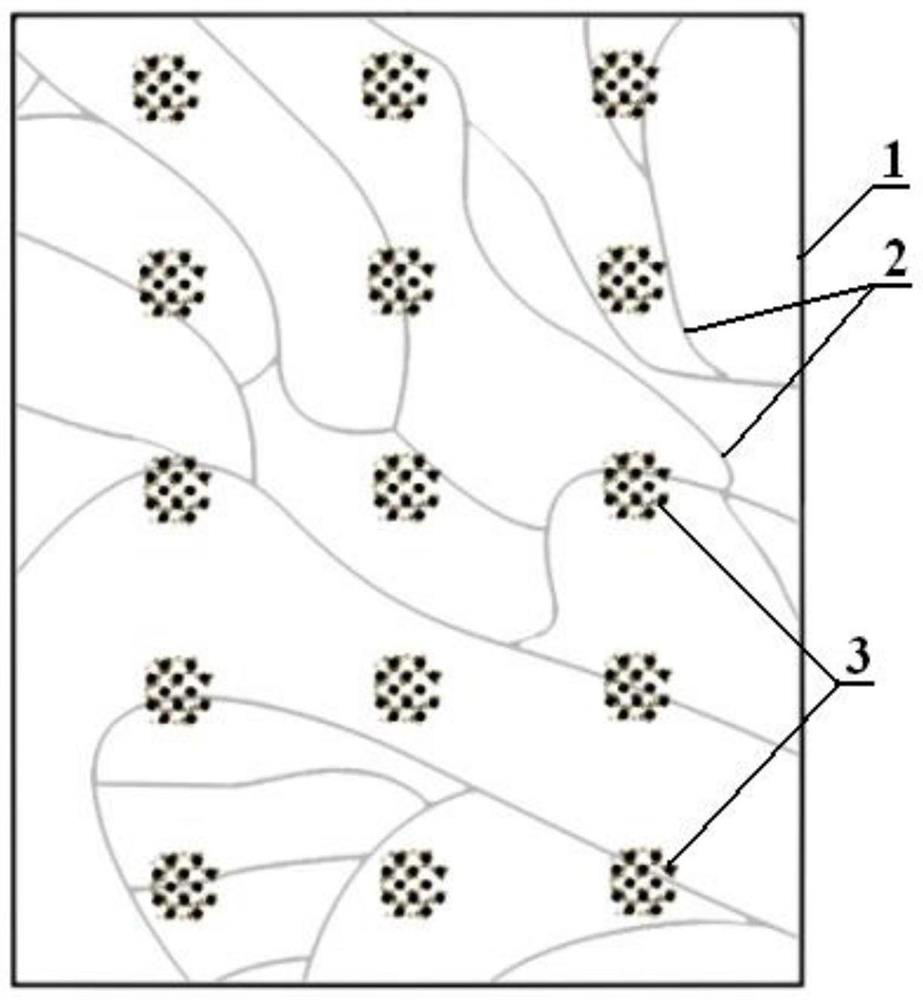 A shoe midsole material with natural light transmission and its preparation method